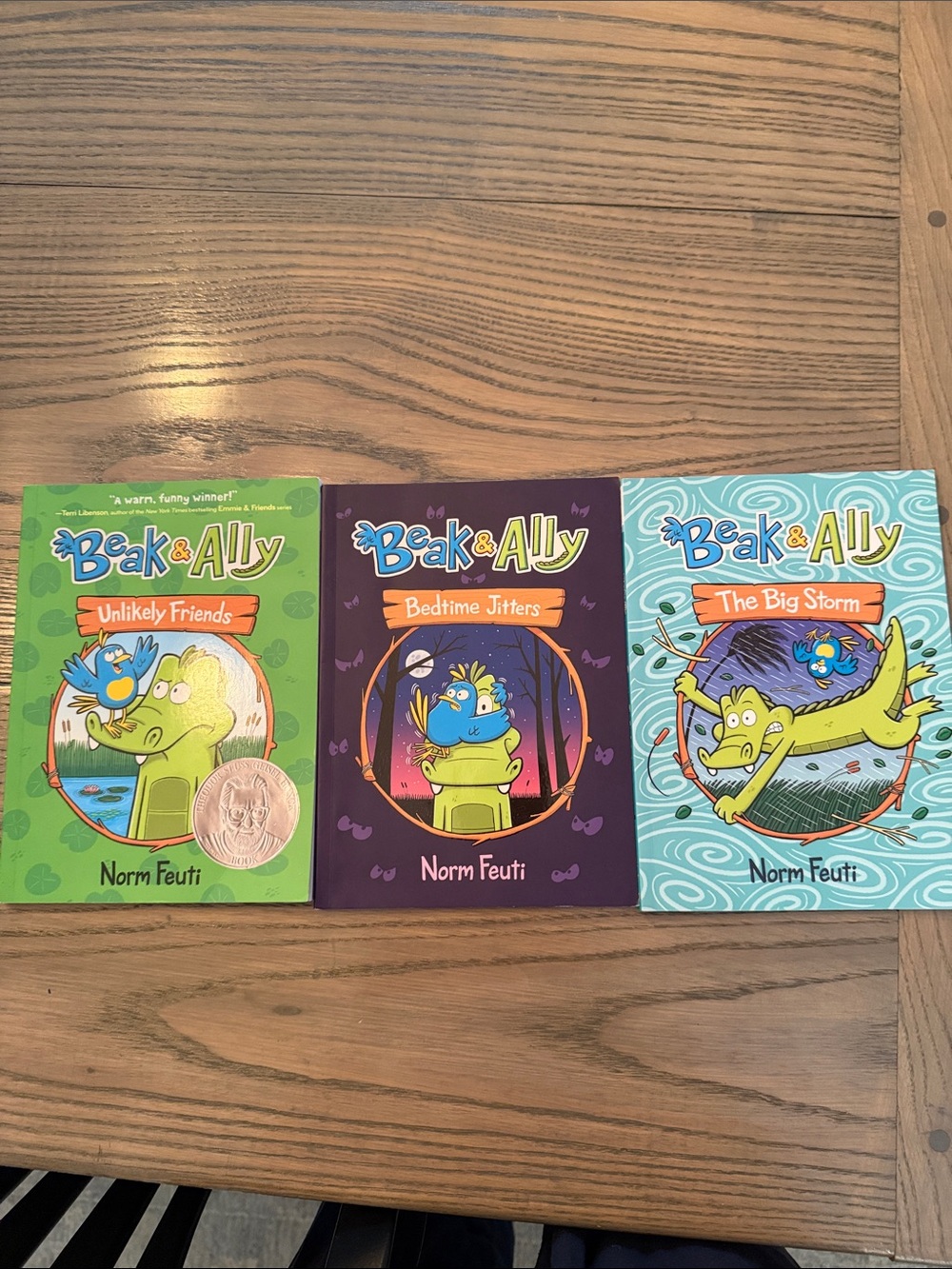 Beak & Ally Book Set (3 Titles) - Green, Purple, Teal Covers